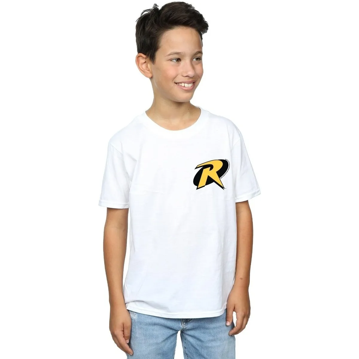 Batman Robin Logo