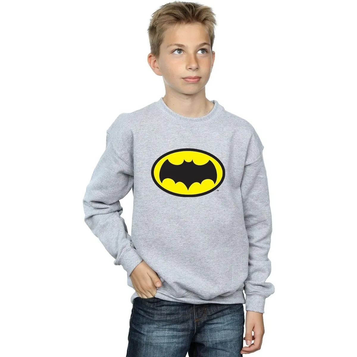 Batman TV Series Logo