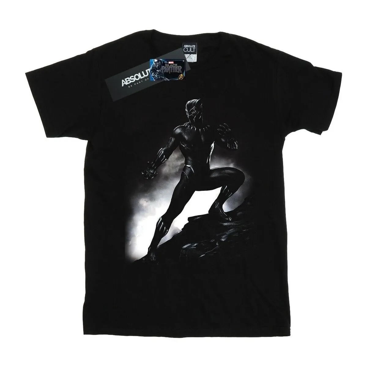 Black Panther Standing Pose
