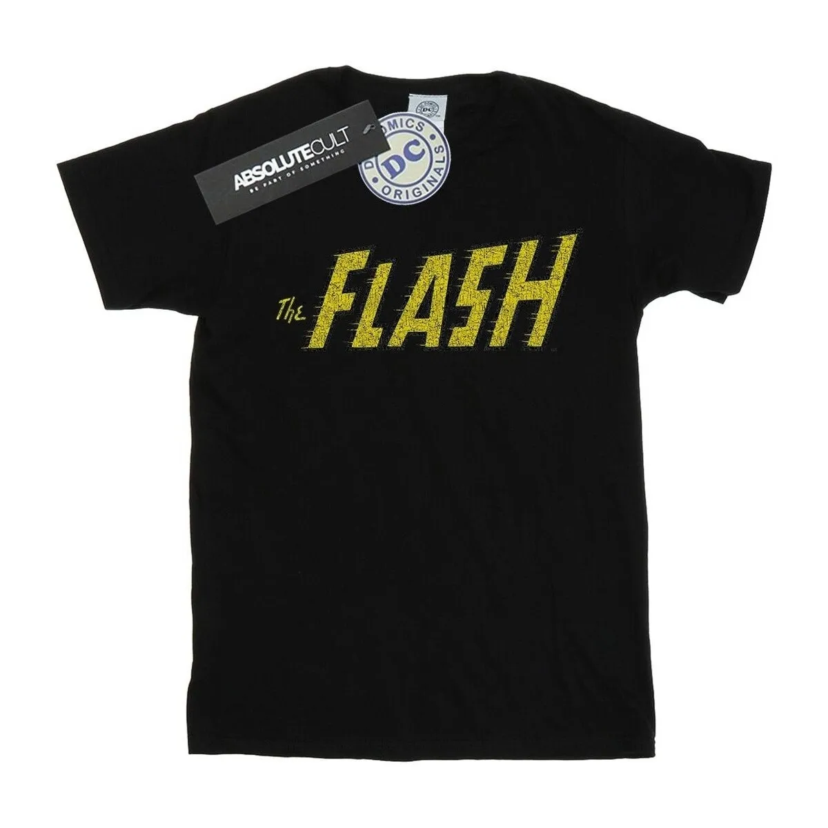 Flash Crackle Logo