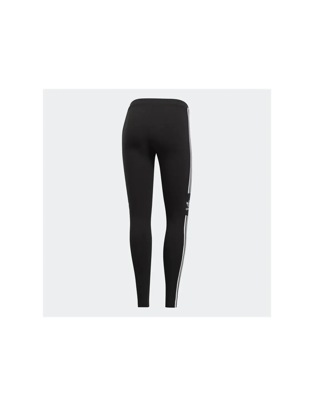 HW TIGHTS