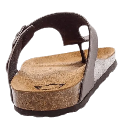 Nonation Aragon Brown