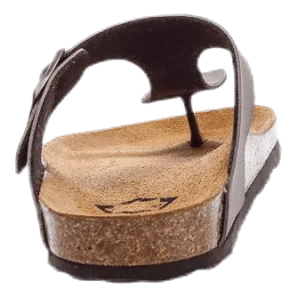 Nonation Aragon Brown