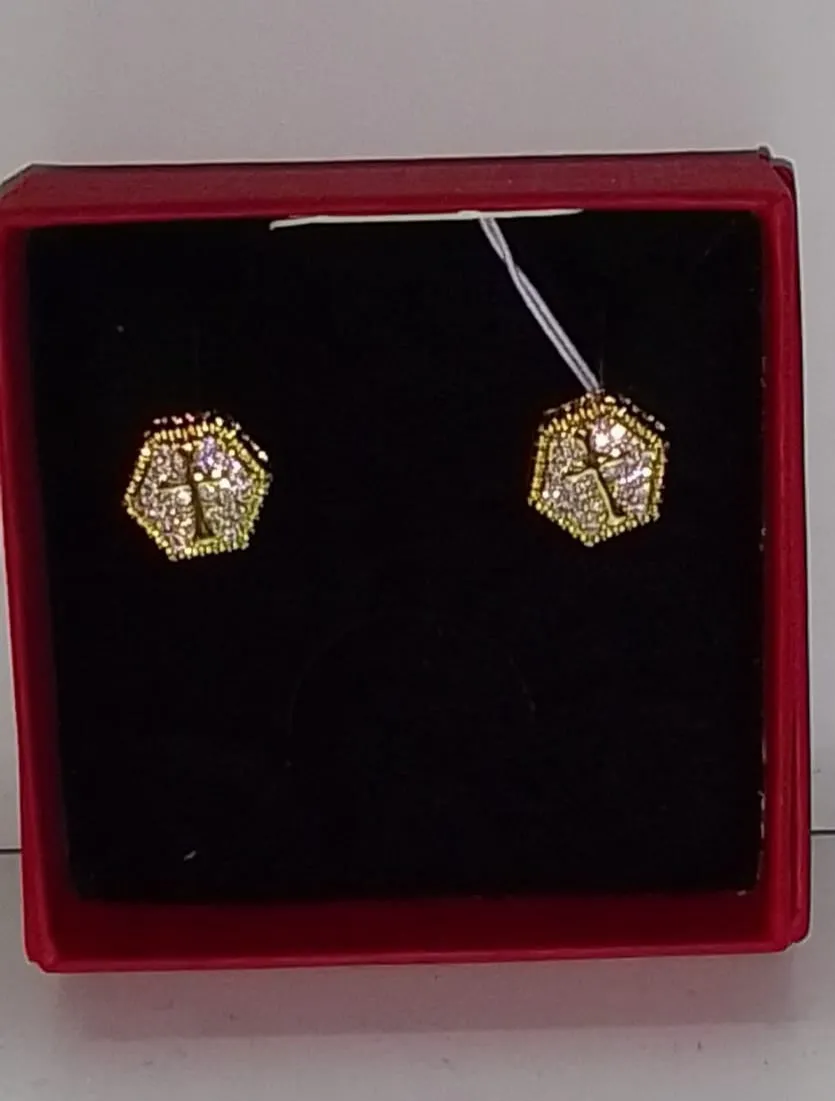 PENDIENTES PC  009