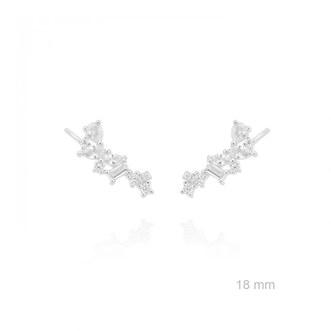 Pendientes Plata Trepadores