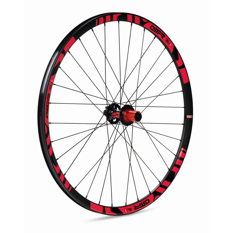 RUEDA GURPIL TRASERA DISCO GTR SL20 29  ROJA  640011