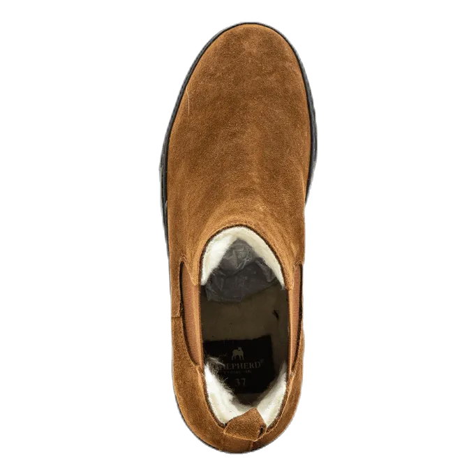 Shepherd Amber Brown