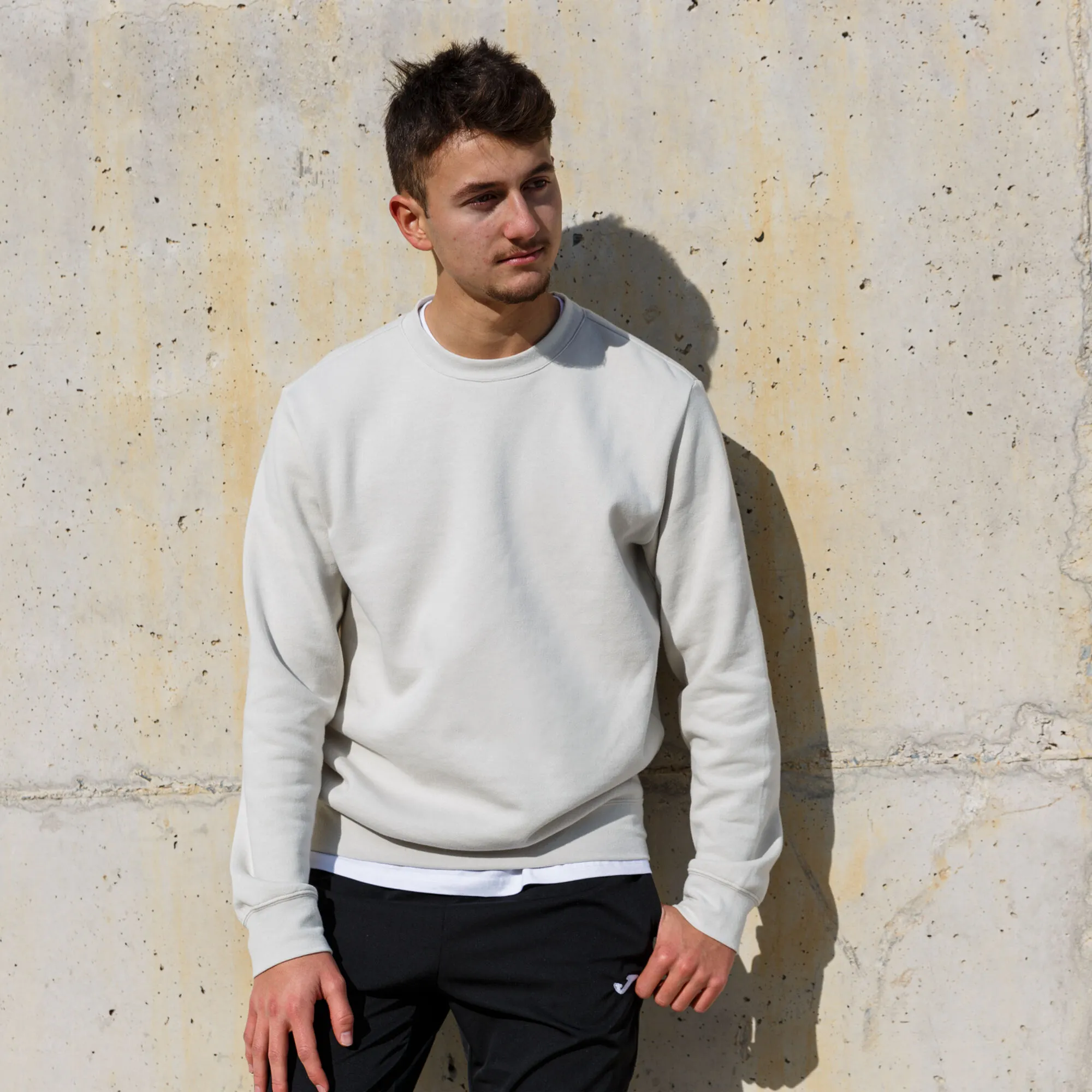 Sudadera hombre Montana beige