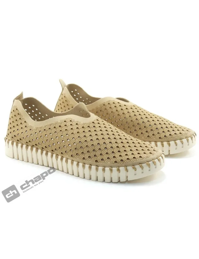 Zapatillas Deportiva Taupe Ilse Jacobsen Tulip 3275
