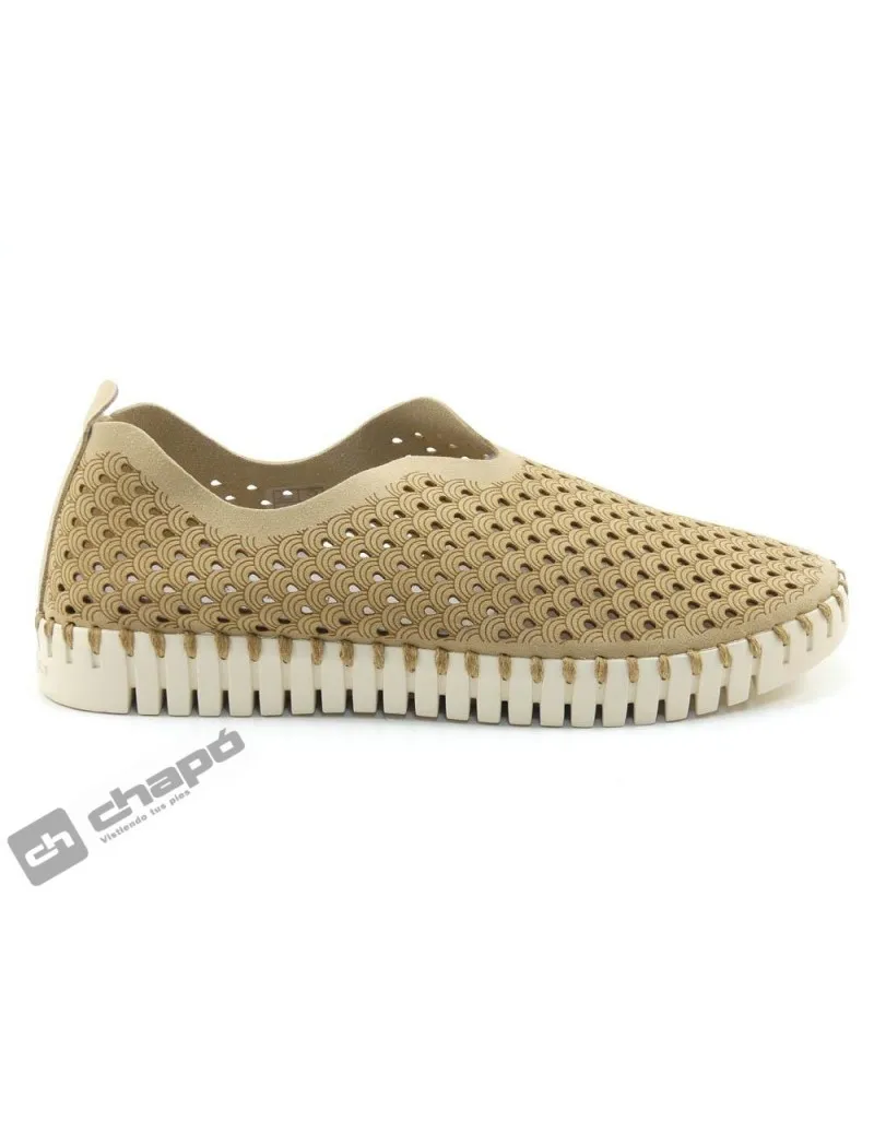 Zapatillas Deportiva Taupe Ilse Jacobsen Tulip 3275