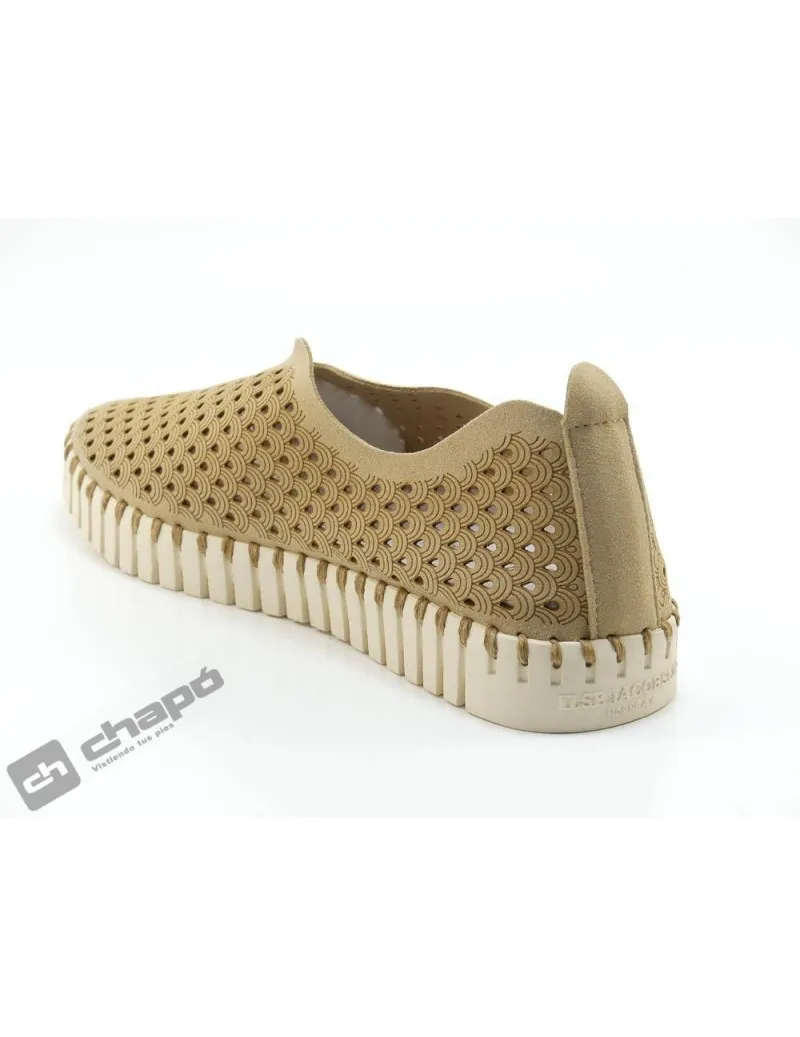 Zapatillas Deportiva Taupe Ilse Jacobsen Tulip 3275