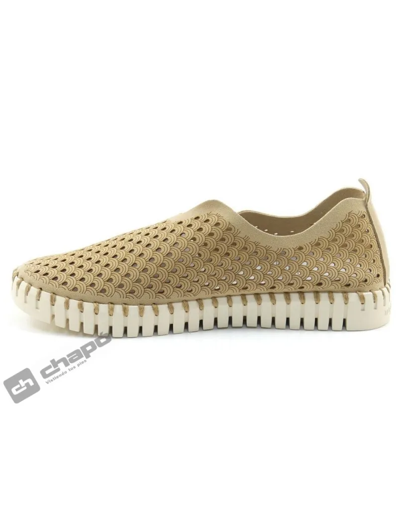 Zapatillas Deportiva Taupe Ilse Jacobsen Tulip 3275